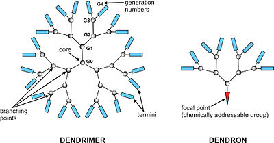 Dendrimère : une sorte d'étoile moléculaire qui se fabrique en plusieurs "générations", comme un peu une image fractale