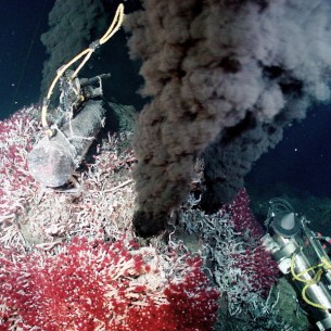 Une source hydrothermale dans la fosse des Caïmans, à - 5000 m (source : ASP)